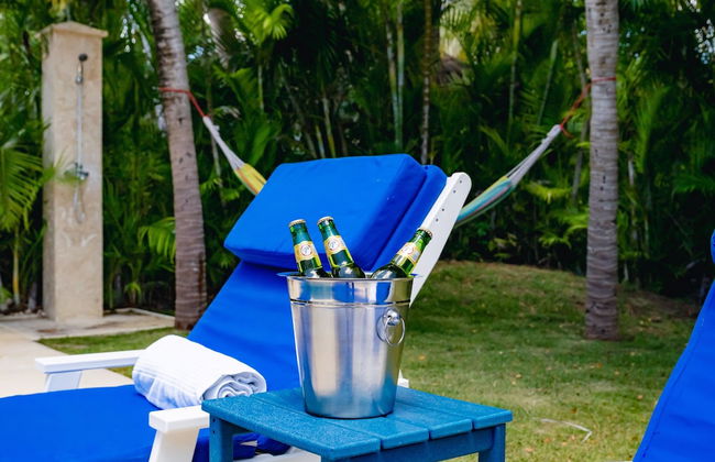 A Guest Dream Villa Blue at Punta Cana Village! - Photo 27