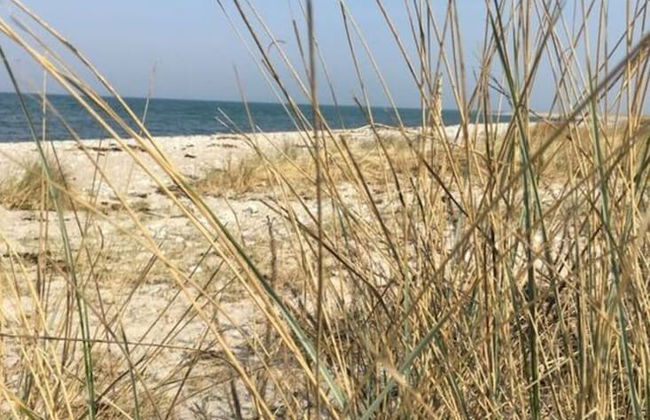 Lillehus Modern Retreat - Foto 4