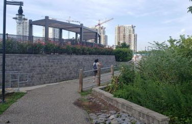 Stamford Bohemian by HarborPoint Downtown &Train - Photo 48