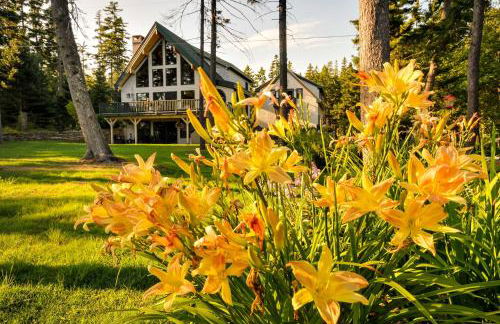 Waterfront Prospect Harbor Cottage Yard, Fire Pit - Foto 6