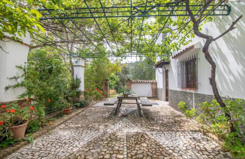 Finca Ecológica Morera - Foto 27