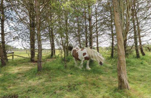 The Stables - Photo 22