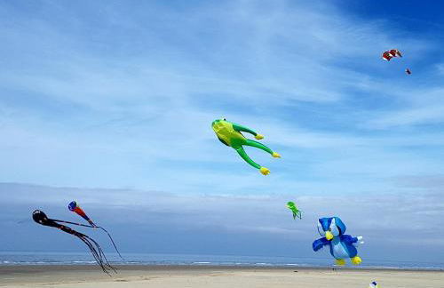 LES COQUILLAGES, 2 salles de bains, lits faits et tout à pied - Foto 23