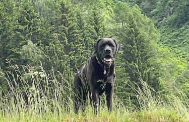 Large peaceful chalet for mountain adventures! Perfect for Flégère and Grand Montet skiing - Foto 52