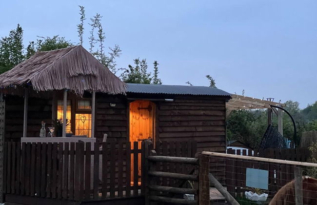 Cute and Cosy Shepard hut With Wood Fuel hot tub - Foto 1