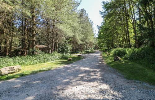 Sycamore Lodge - Foto 36