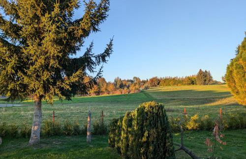 Ferienwohnung Zur Coleus-Farm - Foto 9