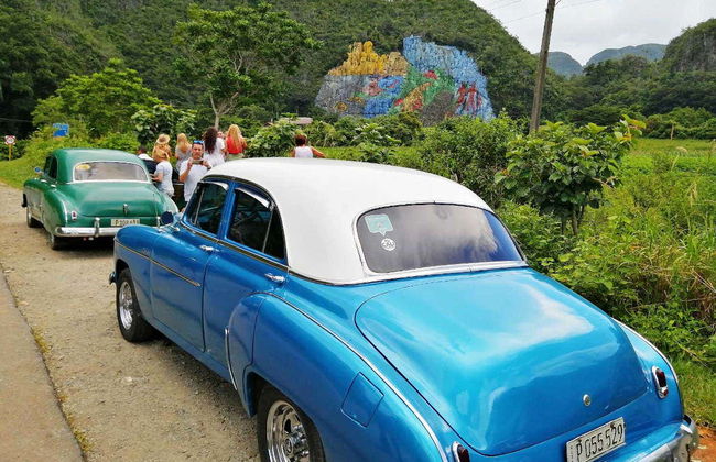 Excursão privada ao Valle de Viñales de carro clássico - Foto 14