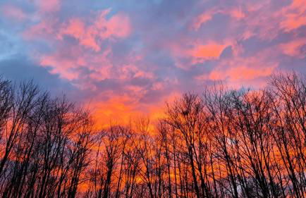 Ferienwohnung Ollywood Hill - Foto 14