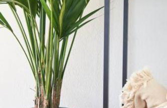 Trie Vineyard Cottage - Foto 7