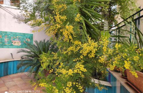 L'ORTO MAGNO - Photo 14