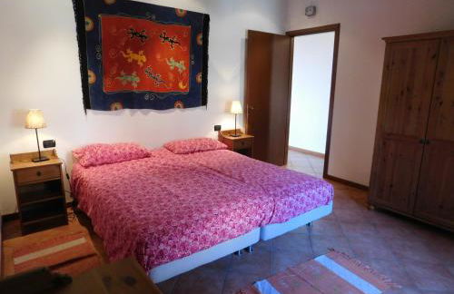 Rosmarino 2 - Foto 15