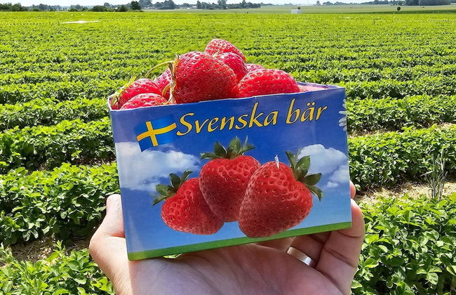 6 Person Holiday Home in Blentarp-by Traum - Foto 20