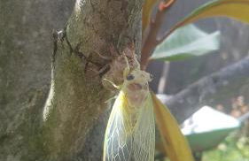 Loft dans cadre de verdure - Foto 10