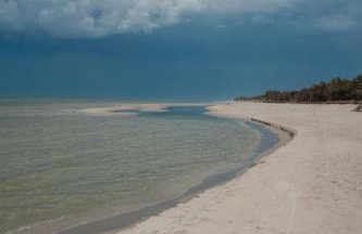 Zen Sasino - Foto 56