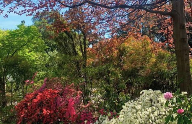 Villa Col di Luna-ProseccoHills - Photo 41