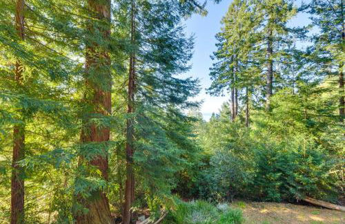 Ocean and Redwoods Views! Coastal NorCal Sanctuary - Foto 25