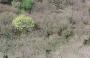 Casa La Parra - Foto 6