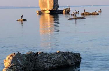 Neues Ferienhaus an der Ostsee+Terrasse+Sauna - Foto 36