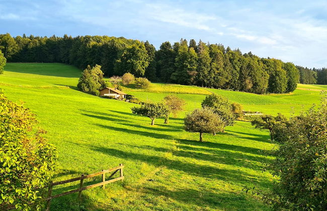 Cinéma Enchanté - cinéma & bain nordique - Foto 20