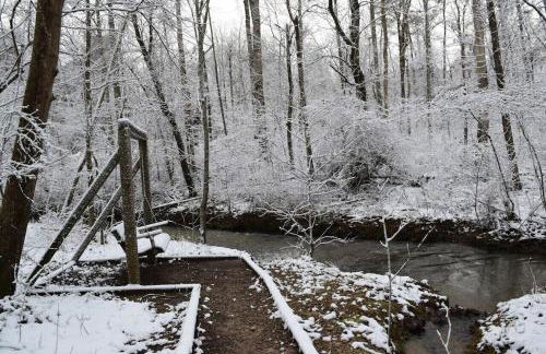 Peaceful Hideaway Treehouse near Little River Canyon - Foto 29