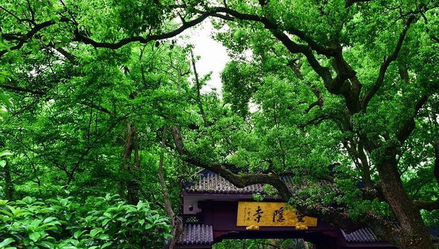 Excursión privada de 1 día a Hangzhou - Foto 2, Templo Lingyin