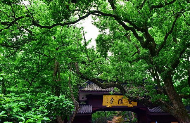 Excursión privada de 1 día a Hangzhou - Foto 2