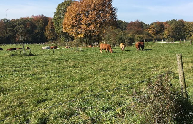 Cozy Apartment in Ellar With Garden - Foto 46