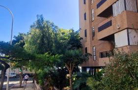 Apartamento Oroval Residencial Anaga - Foto 26