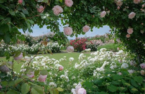 Il Fienile di Assisi - Photo 128