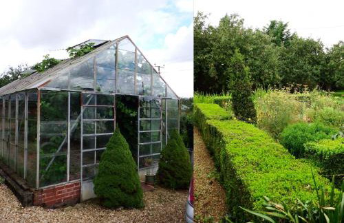 Kenilworth Garden Accomodation - Foto 4