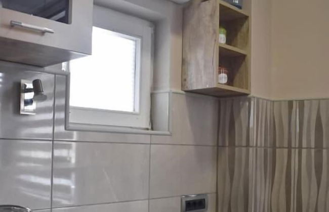 Apartments Zrenjanin - Photo 37