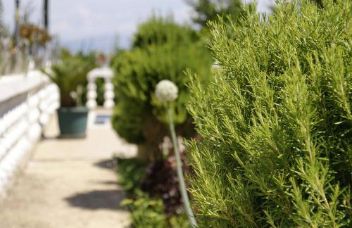 Apartments Solta - Foto 54