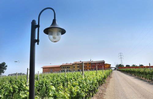 Agriturismo dei Grippi - Foto 14