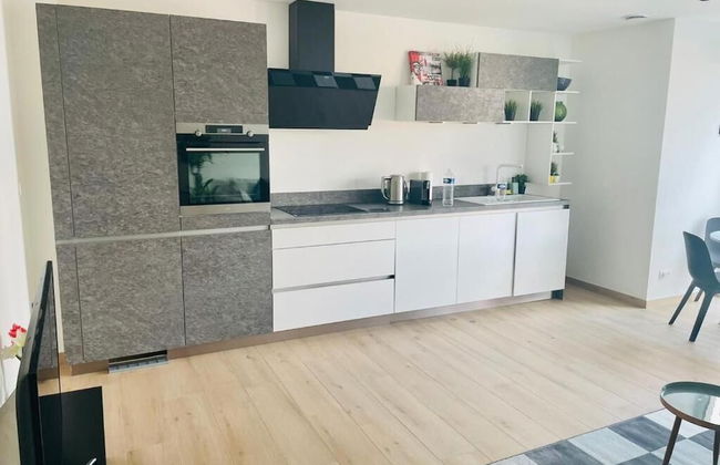 New 1 bedroom in City Center- Terrace - Photo 4