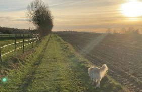 Ferienwohnung mit Sauna und Meditationsangebot - Foto 18