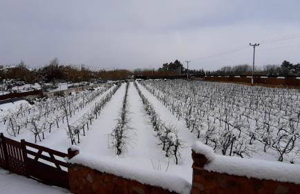 Villa Evinoi - Foto 34