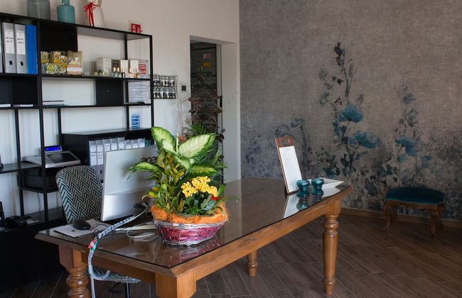 Fattoria L'Olmetto - Foto 4