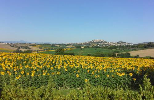 Villa Belvedere degli Ulivi - Foto 106
