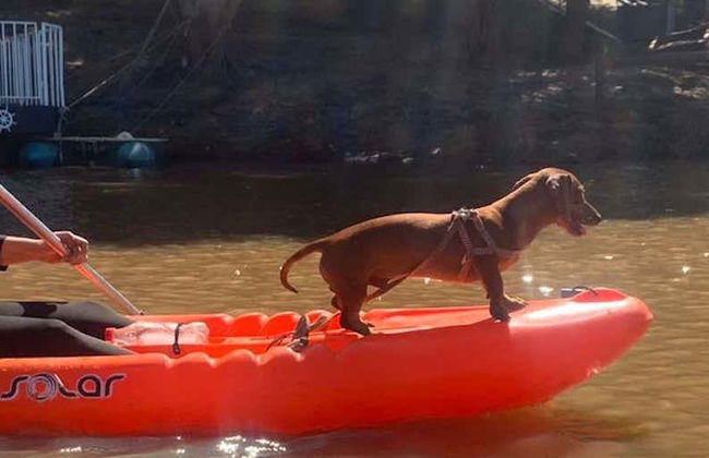 Kayaking on the Poti River - Foto 1