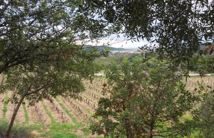 Agriturismo Su Solianu - Foto 38