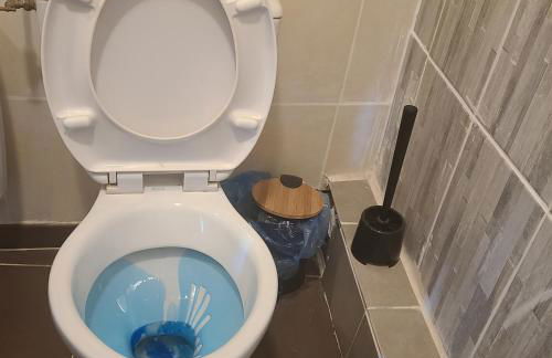 BREST - pres jardin des explorateurs - Foto 17