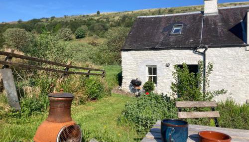 Wee Coo Byre - Foto 2, Garden, Garden view