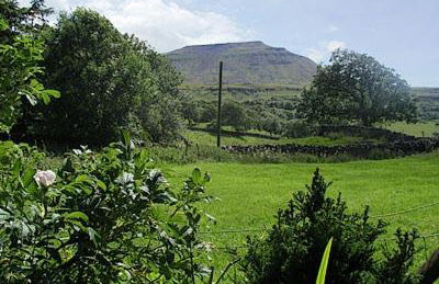 Seal Parrock - Foto 6