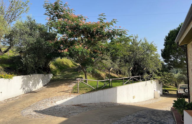 Agrolea Rodí Milici - Foto 43