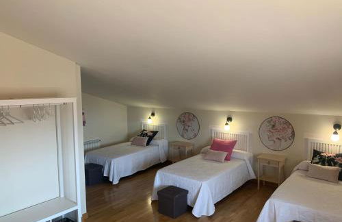 Los Olivos de José - Photo 12