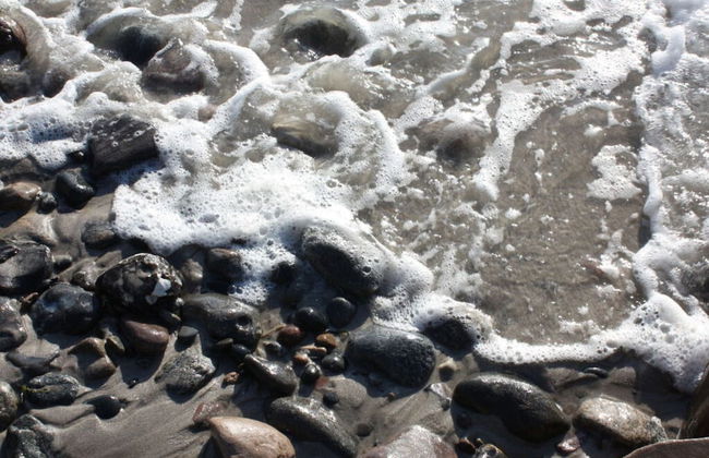 Lieselotte Modern Retreat - Foto 14