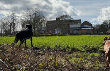 The Tack Store, Modern 3 Bed, 6 person, Barn in a Rural Setting with Great Access - Foto 5