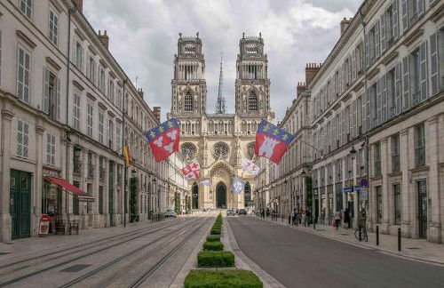 Au Canon - Parking gratuit - Bords de Loire - Foto 25