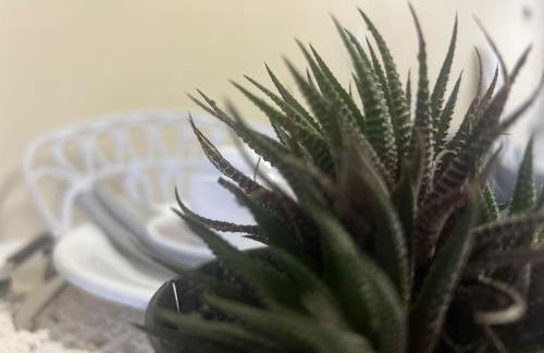 SOBRADO Com 3 QUARTOS NO CORAÇÃO DO COSTA E SILVA - Photo 87